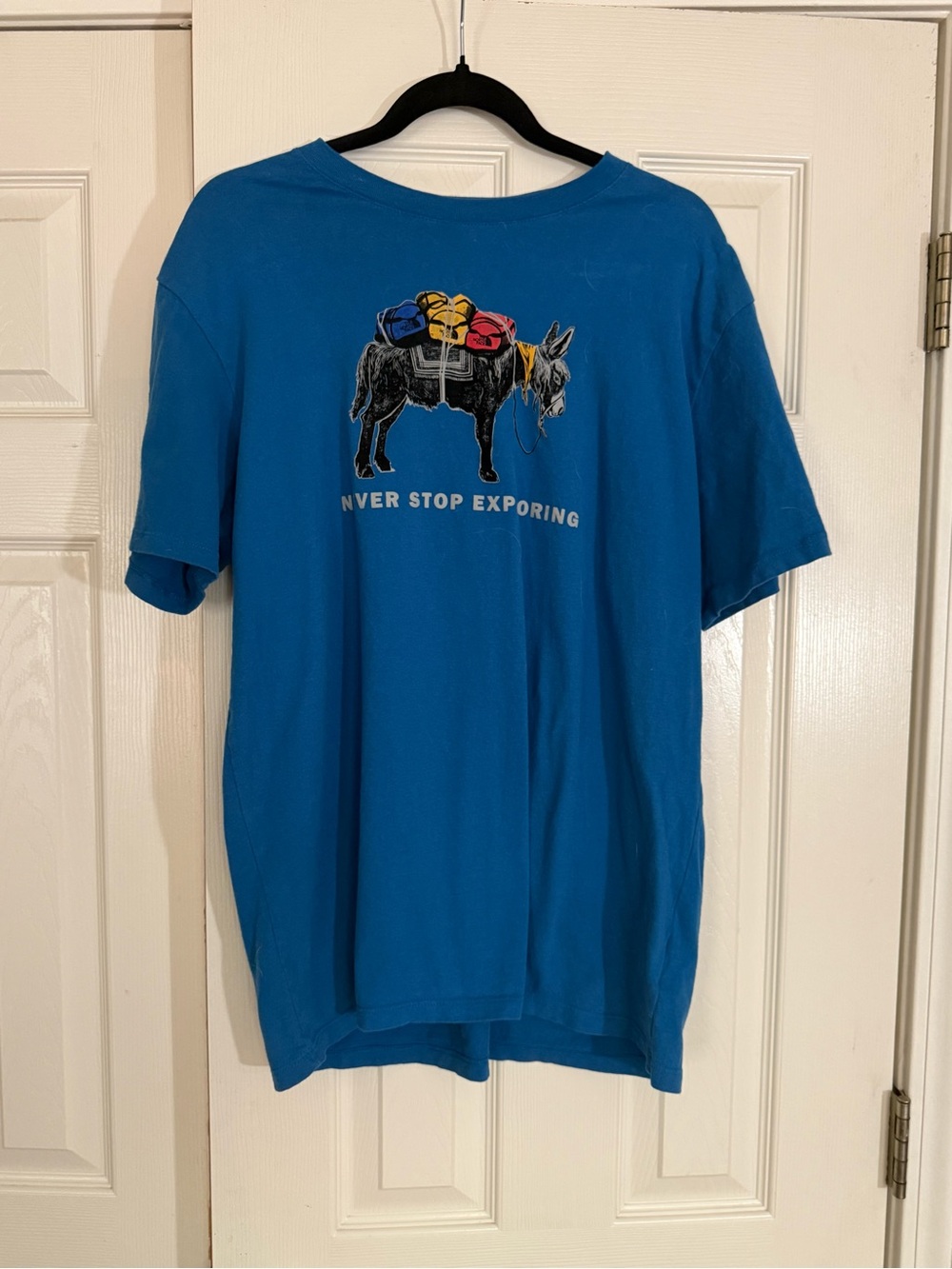 The North Face Donkey Graphic Tee Blue Large Never Stop Exploring